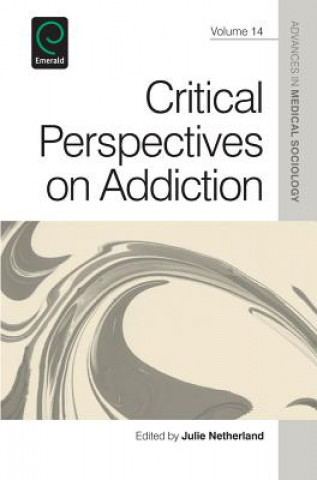 Libro Critical Perspectives on Addiction Julie Netherland