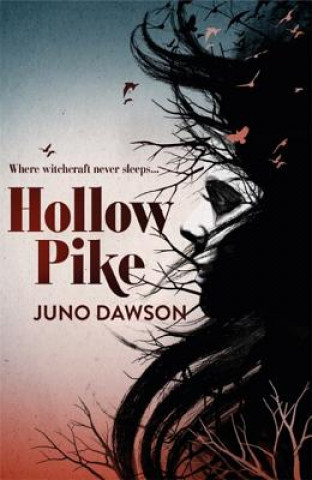 Book Hollow Pike James Dawson