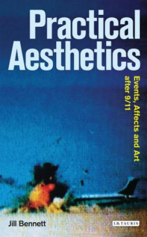 Kniha Practical Aesthetics Jill Bennett