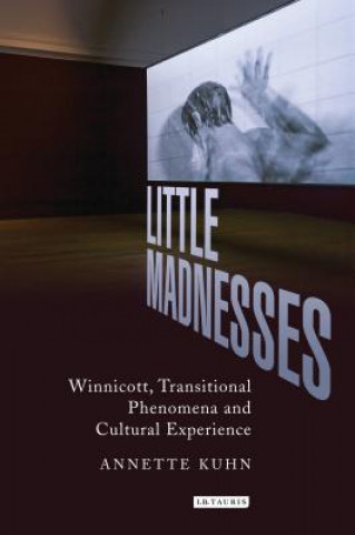 Kniha Little Madnesses Annette Kuhn