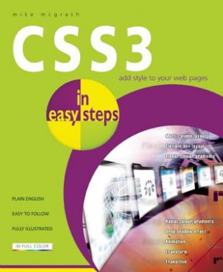 Kniha CSS3 in Easy Steps Mike McGrath