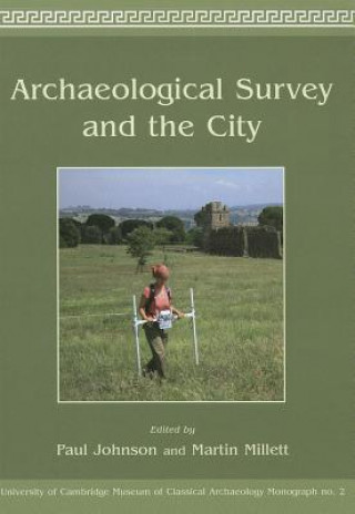 Könyv Archaeological Survey and the City Paul Johnson