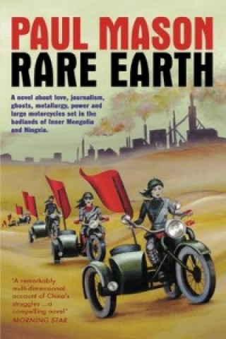 Buch Rare Earth Paul Mason