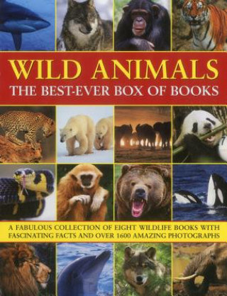 Βιβλίο Wild Animals Best Ever Box of Books Barbara Taylor