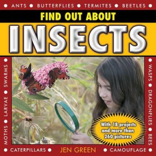 Kniha Find Out About Insects Dr Jen Green