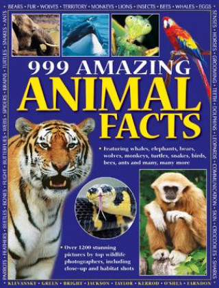 Carte 999 Amazing Animal Facts Armadillo