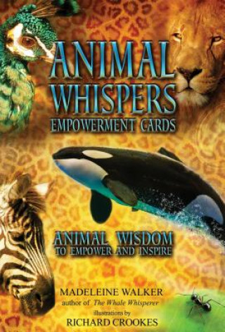Tlačovina Animal Whispers Empowerment Cards Madeleine Walker