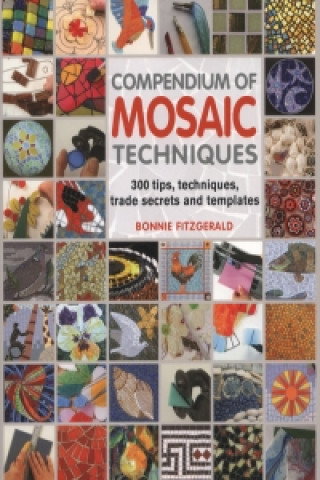 Книга Compendium of Mosaic Techniques Bonnie Fitzgerald