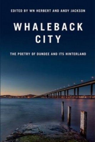 Kniha Whaleback City Andy Jackson