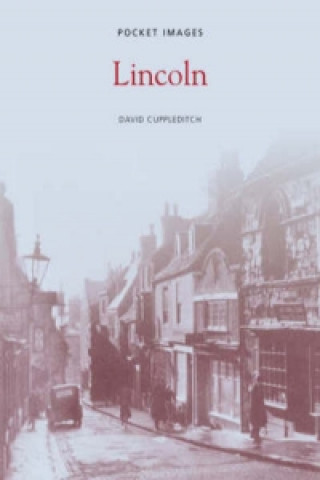 Buch Lincoln: Pocket Images Betty Seymour