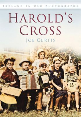 Carte Harold's Cross Joseph Curtis