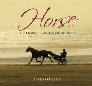 Könyv Horse David O'Flynn