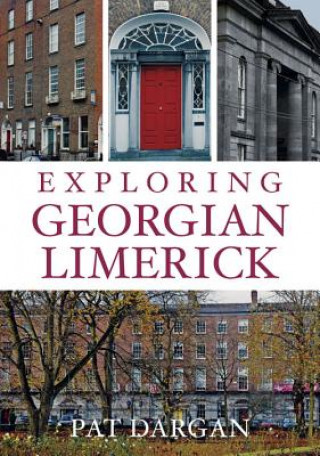 Book Exploring Georgian Limerick Pat Dargan