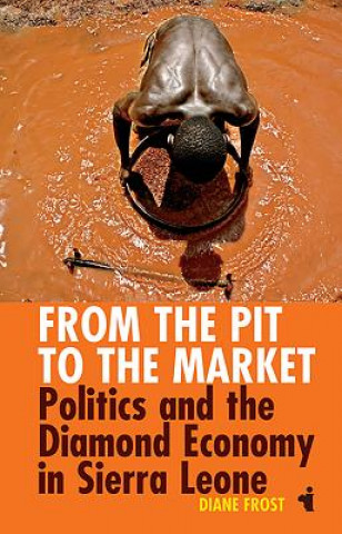 Kniha From the Pit to the Market Diane Frost