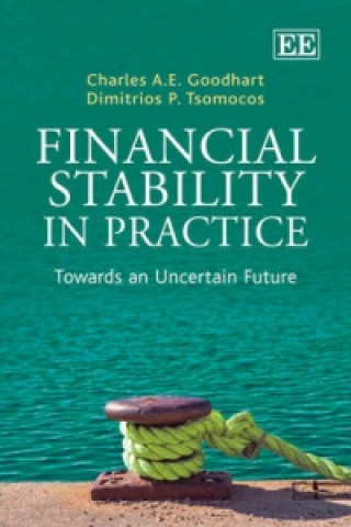 Könyv Financial Stability in Practice - Towards an Uncertain Future Charles A E Goodhart