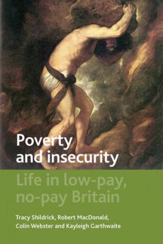 Kniha Poverty and Insecurity Tracy Shildrick