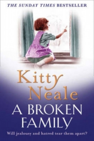 Книга Broken Family Kitty Neale