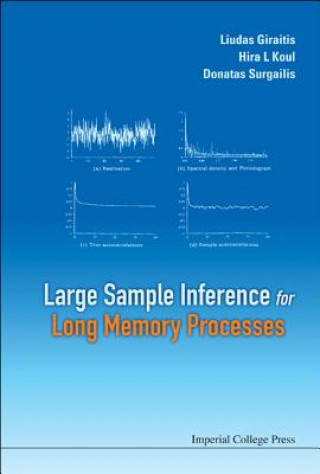 Książka Large Sample Inference for Long Memory Processes Liudas Giraitis