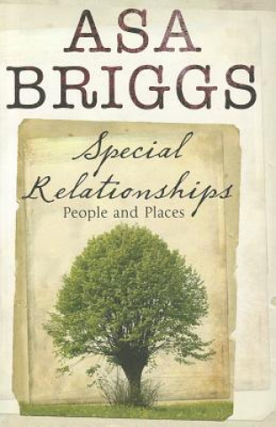 Kniha Special Relationships Asa Briggs