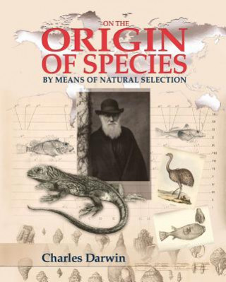 Buch On the Origin of Species Charles Darwin