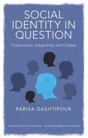 Kniha Social Identity in Question Parisa Dashtipour