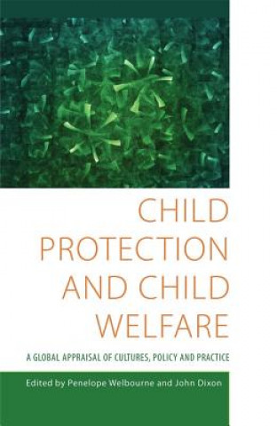 Könyv Child Protection and Child Welfare Selwyn Stanley