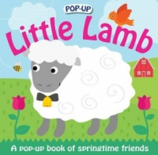 Buch Little Lamb Roger Priddy