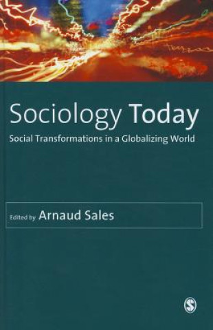 Carte Sociology Today Arnaud Sales