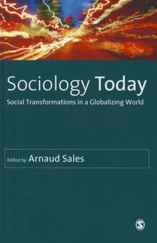 Kniha Sociology Today Arnaud Sales