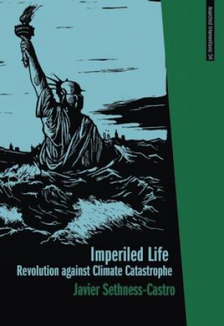Könyv Imperiled Life Javier Sethness Castro