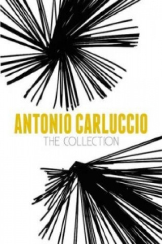 Könyv Antonio Carluccio: The Collection Antonio Carluccio