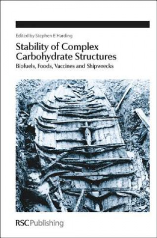Kniha Stability of Complex Carbohydrate Structures Stephen Harding
