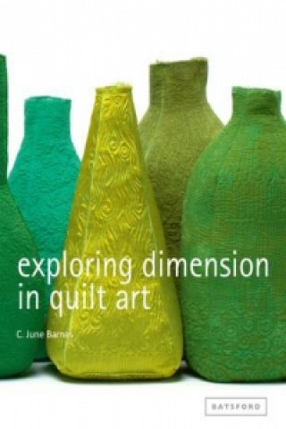 Buch Exploring Dimension in Quilt Art C.June Barnes