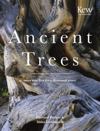 Kniha Ancient Trees Anna Lewington