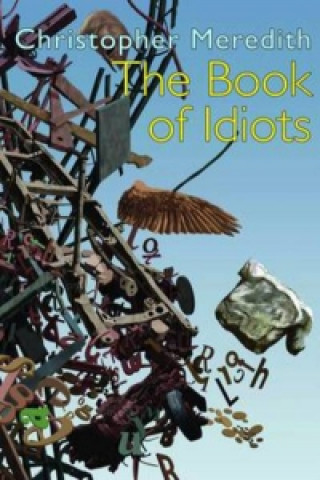 Book Book of Idiots Christopher Meredith