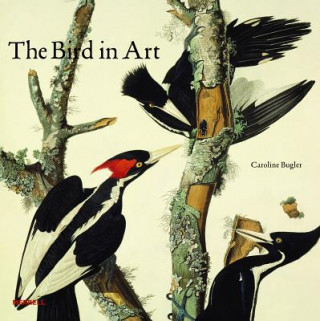 Carte Bird in Art Caroline Bugler