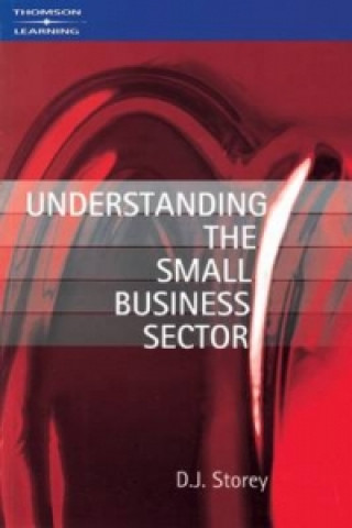 Książka Understanding the Small Business Sector D J Storey