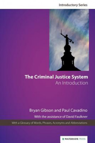 Kniha Criminal Justice System Bryan Gibson