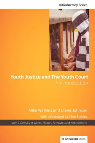 Книга Youth Justice and the Youth Court Mike Watkins