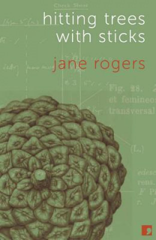 Könyv Hitting Trees with Sticks Jane Rogers
