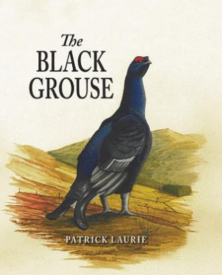 Kniha Black Grouse Patrick Laurie