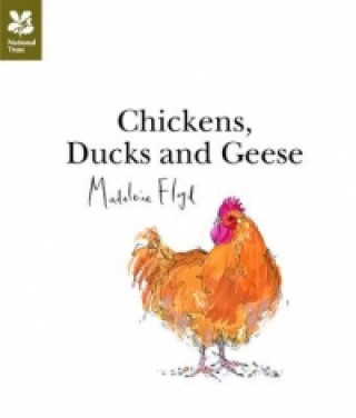 Libro Chickens, Ducks and Geese Madeleine Floyd