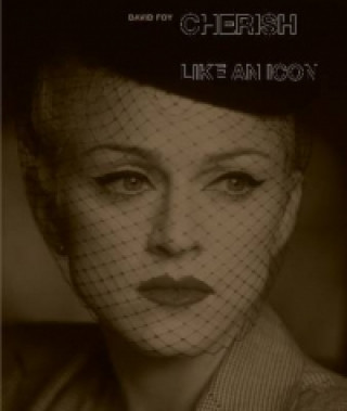 Buch Cherish: Madonna, Like an Icon David Foy