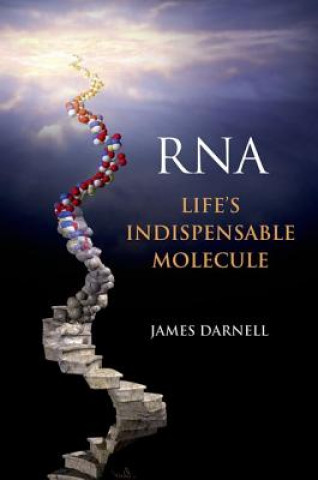 Kniha RNA James Darnell