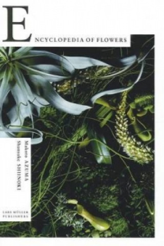 Könyv Encyclopedia of Flowers Kyoko Wada