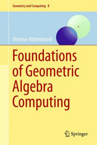 Könyv Foundations of Geometric Algebra Computing Dietmar Hildenbrand