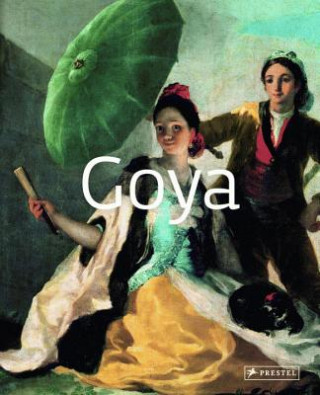 Kniha Goya Paolo Rapelli
