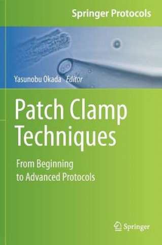 Kniha Patch Clamp Techniques Yasunobu Okada