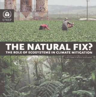 Książka Natural Fix? Kate Trumper
