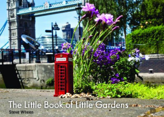 Libro Little Book Of Little Gardens Steve Wheen